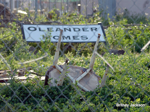 The sign for Oleander Homes, one of Galveston's public housing complexes damaged by Hurricane Ike, sits amid wreckage left by the storm. Photo by Britney Jackson of Lone Star Legal Aid.