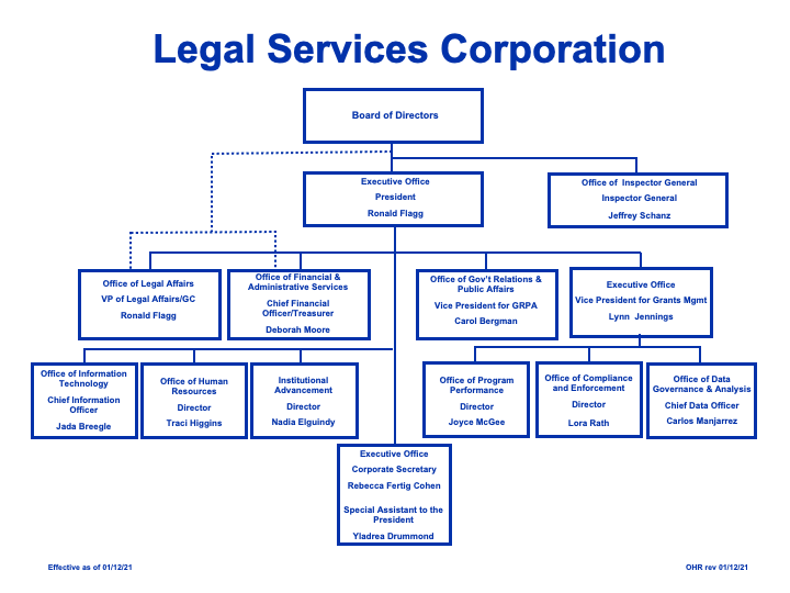 LSC Organization Chart