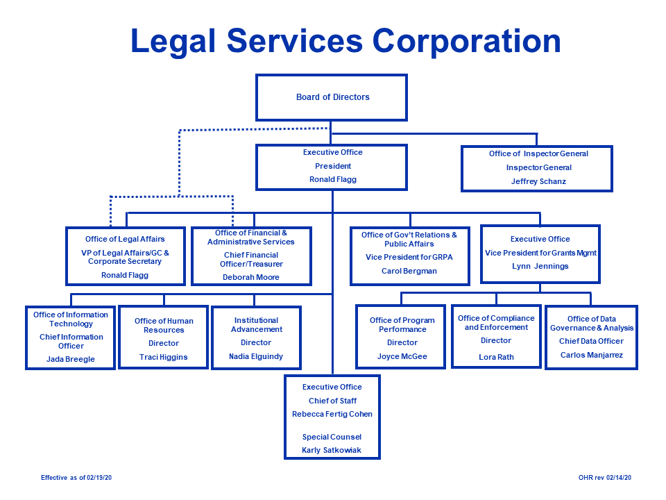 LSC Organization Chart