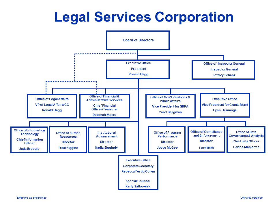 LSC Organization Chart