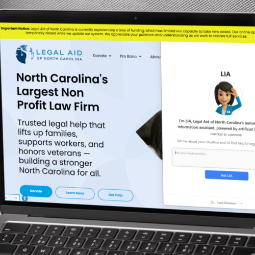 mockup of LANC website