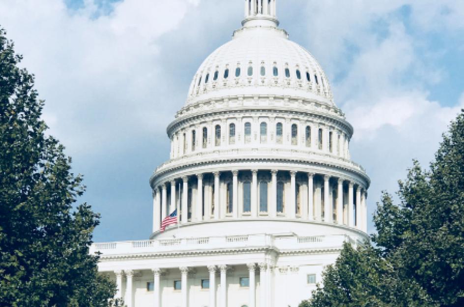 US Capitol Building, during day, through trees