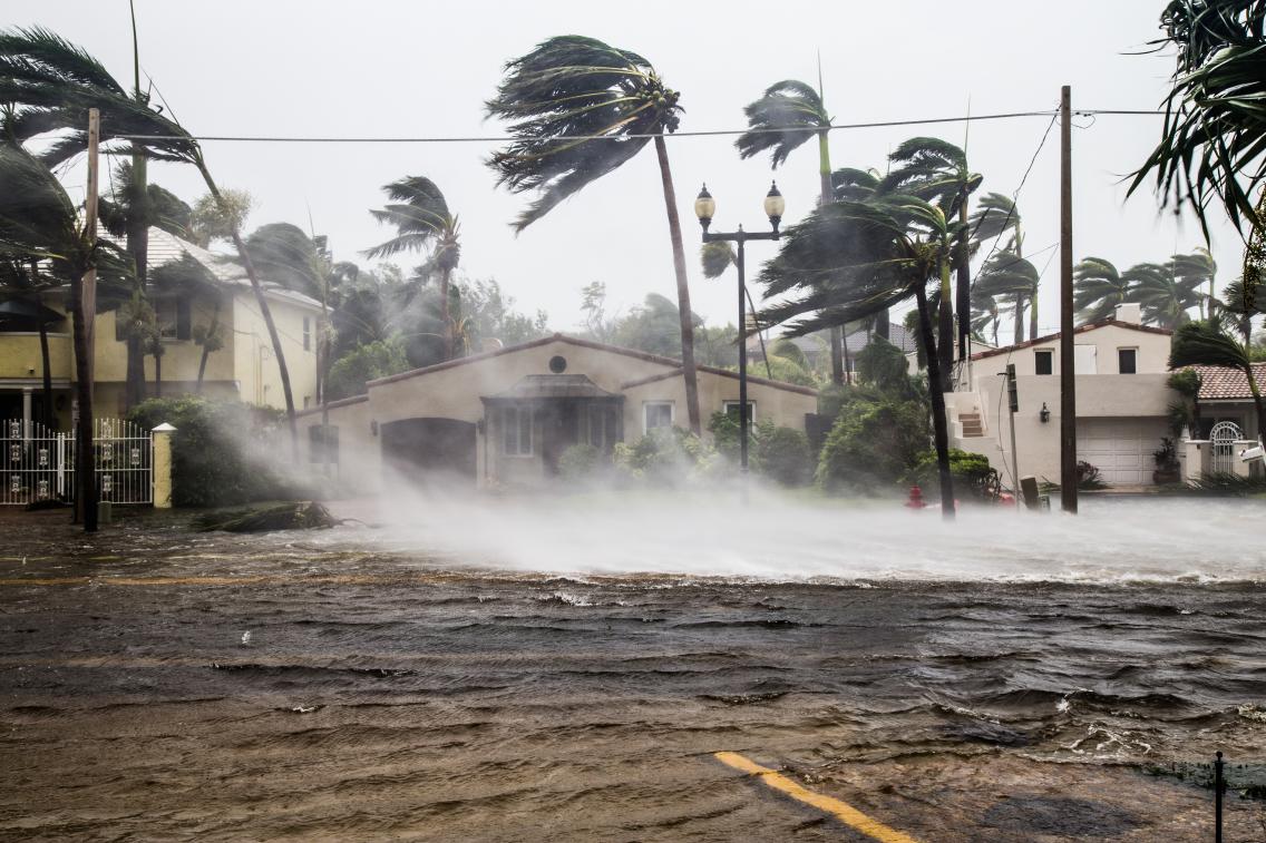 hurricane damage