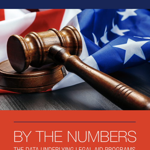 By the Numbers 2020 Report Cover
